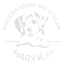 Poděbradský útulek Haryk